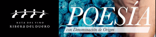 Banner_Ruta_del_Vino