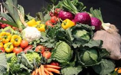 Alimentos de temporada