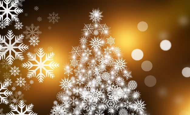 Saludo navideño de la Alcaldesa de Aranda de Duero, doña Raquel González Benito